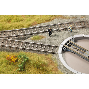 41697