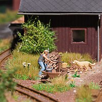 79884